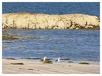 Sandy Beach at Ashaig minutes from your accommodation on the Isle of Skye