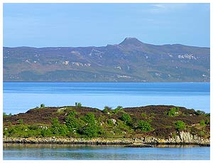 Duirinish and Highland Cattle